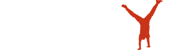 Software Engineer at Perspectivity