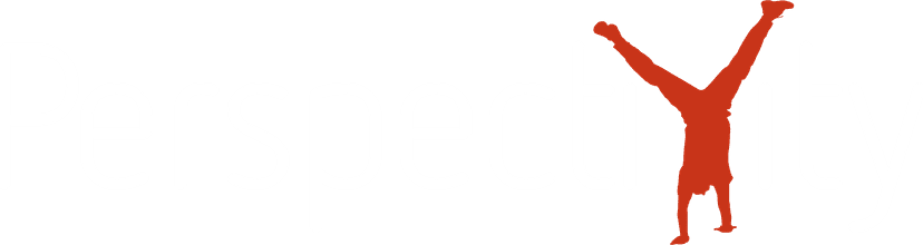 Software Engineer at Perspectivity